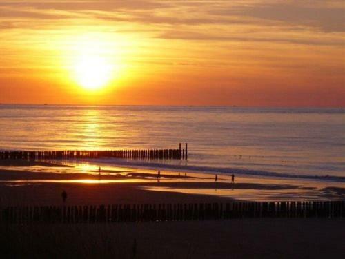 Luxe 4-Persoons Vakantiewoning Aan Zee 佐特兰德 外观 照片